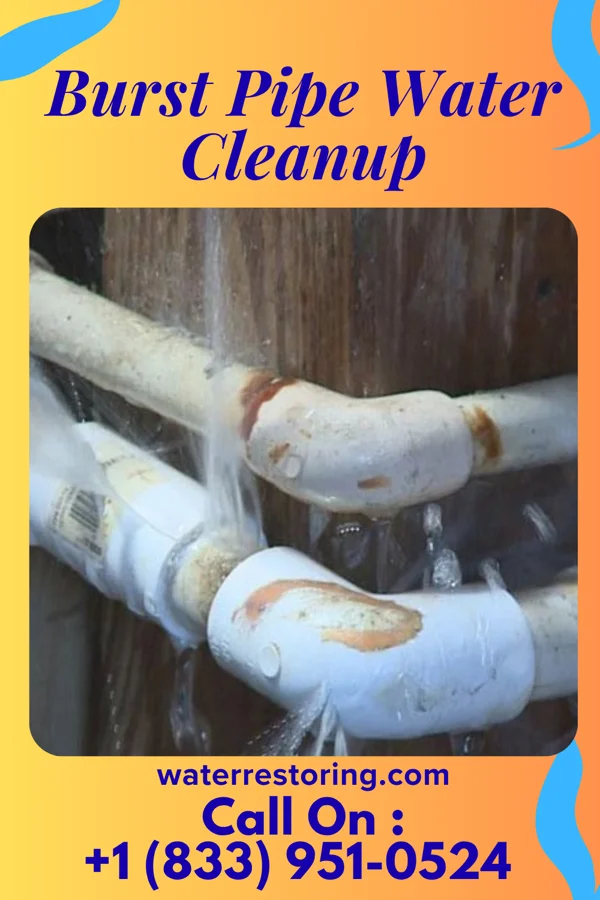 Burst Pipe Water Cleanup in Francis Creek, WI