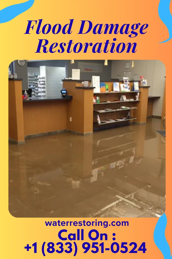 Flood Damage Restoration in Francis Creek, WI