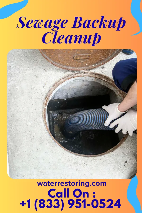 Sewage Backup Cleanup in Francis Creek, WI