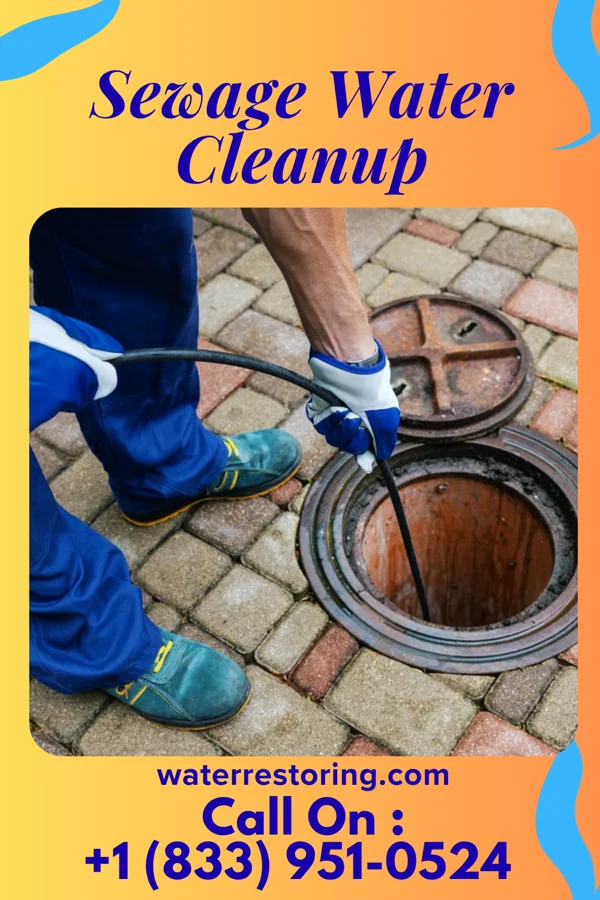 Sewage Water Cleanup in Francis Creek, WI