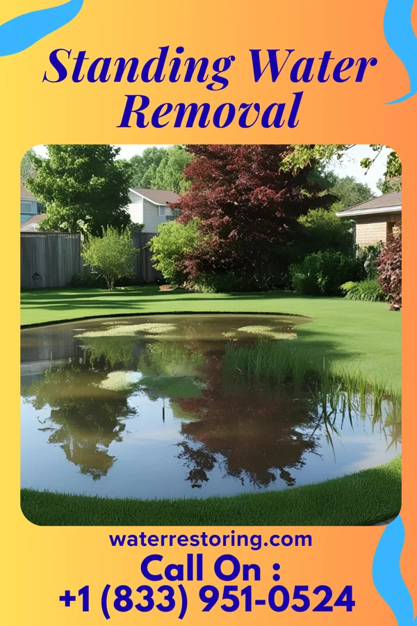 Standing Water Removal in Francis Creek, WI